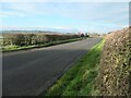 SE3147 : Cyclists heading west on Spring Lane by Christine Johnstone