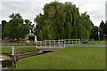 TM2250 : Bridge and willow tree on the green at Grundisburgh by Simon Mortimer