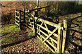 SX7390 : Gates on the Two Moors Way by Derek Harper