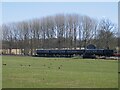 TQ7825 : Train approaching Bodiam  by Stephen Craven