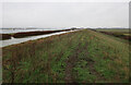 TL4684 : Path by New Bedford River by Hugh Venables