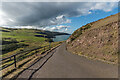 NT9169 : St Abb's Head access road by Ian Capper