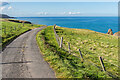 NT9068 : St Abb's Head access road by Ian Capper