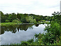 NJ9308 : Weir on the river Don below Seaton Park by Stephen Craven