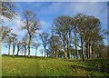 NS7075 : South-western corner of Roman fort site, Bar Hill by Alan O'Dowd