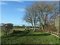 SE3724 : Former towpath, south bank of the Calder, Altoft Ings by Christine Johnstone