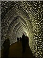 SP4315 : Blenheim Illuminations - (15) - Inside the golden tunnel by Rob Farrow