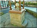 SE1646 : The Fountain of Life, Main Street, Burley-in-Wharfedale - detail by Stephen Craven