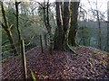 NS4177 : Remains of a lime-kiln by Lairich Rig