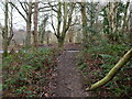 TG3429 : Looking back to the entrance of Heath Plantation by David Pashley