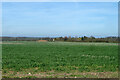  : Farmland north of Skreens Park Road by Robin Webster