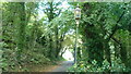 SO7742 : Gas lamp on Holywell Road (Malvern Wells) by Fabian Musto