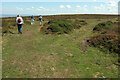 ST1239 : Walkers near Thorncombe Barrow by Derek Harper