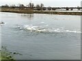 TL2799 : Pumping into the River Nene - The Nene Washes by Richard Humphrey