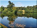 TQ4551 : Lake at Chartwell by PAUL FARMER