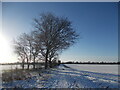 TF1606 : Farm track and footpath between Peakirk and Glinton in the snow by Paul Bryan