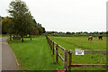 ST8061 : Pasture, Hartley Farm by Derek Harper