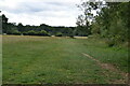 TQ5546 : Footpath across the floodplain by N Chadwick