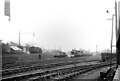 SJ5084 : Widnes railway goods yard  1967 by Alan Murray-Rust