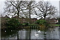 TQ3065 : Waddon Ponds by Peter Trimming