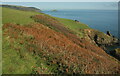 SX8848 : Coastal slope, Western Combe Cove by Derek Harper