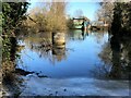 TF3902 : Flood water at Rings End sluice - The Nene Washes by Richard Humphrey