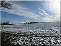 TM2350 : Snow, field and sky by Chris Holifield