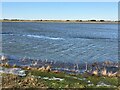 TF3802 : Flooded from bank to bank - The Nene Washes by Richard Humphrey