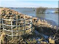 TF3802 : Pedestrian gate on the Nene Way - The Nene Washes by Richard Humphrey