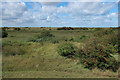 TF6533 : Snettisham Coastal Park by Hugh Venables