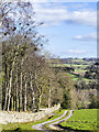 NZ1134 : Farm road descending to Monkfield and Bracken Hill by Trevor Littlewood