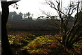 TM4761 : Field south of Sizewell Hall by Christopher Hilton