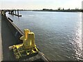 TF6119 : Former industrial mooring post on South Quay, King's Lynn by Richard Humphrey