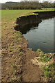 SX8574 : Path into mid-air, River Teign by Derek Harper