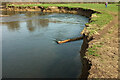 SX8574 : Pipe, River Teign by Derek Harper