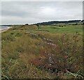 NO4002 : Anti-tank blocks, Largo Bay, Fife by Claire Pegrum