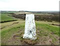 NZ3554 : Triangulation Pillar, Hasting Hill by Adrian Taylor