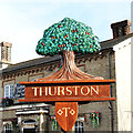 TL9165 : Thurston village sign - detail by Adrian S Pye