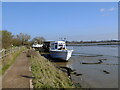 TM2849 : Former RAF launch on the River Deben by Chris Holifield