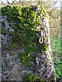 ST5648 : Stone gatepost and a hinge by Neil Owen