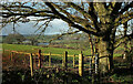 SX8870 : View towards the Teign by Derek Harper