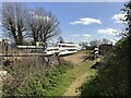 TL5580 : Ely Rowing Club - The poor relations! by Richard Humphrey