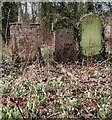 SO7876 : Old gravestones at Dowles by Mat Fascione