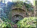 ST1227 : Disused lime kiln, Halse by Marika Reinholds