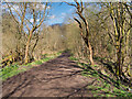 SD8003 : Track through Prestwich Clough by David Dixon