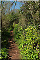 SX8962 : Path, Round Hill by Derek Harper