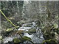 SD9830 : Bridge Clough, downstream of Wheat Ing bridge by Christine Johnstone