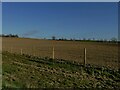 SE3448 : Tilled field near Addlethorpe Wood by Stephen Craven