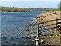 SK6442 : River Trent at Stoke Bardolph by Alan Murray-Rust