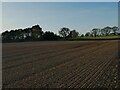 SE3648 : Tilled field outside Sicklinghall by Stephen Craven